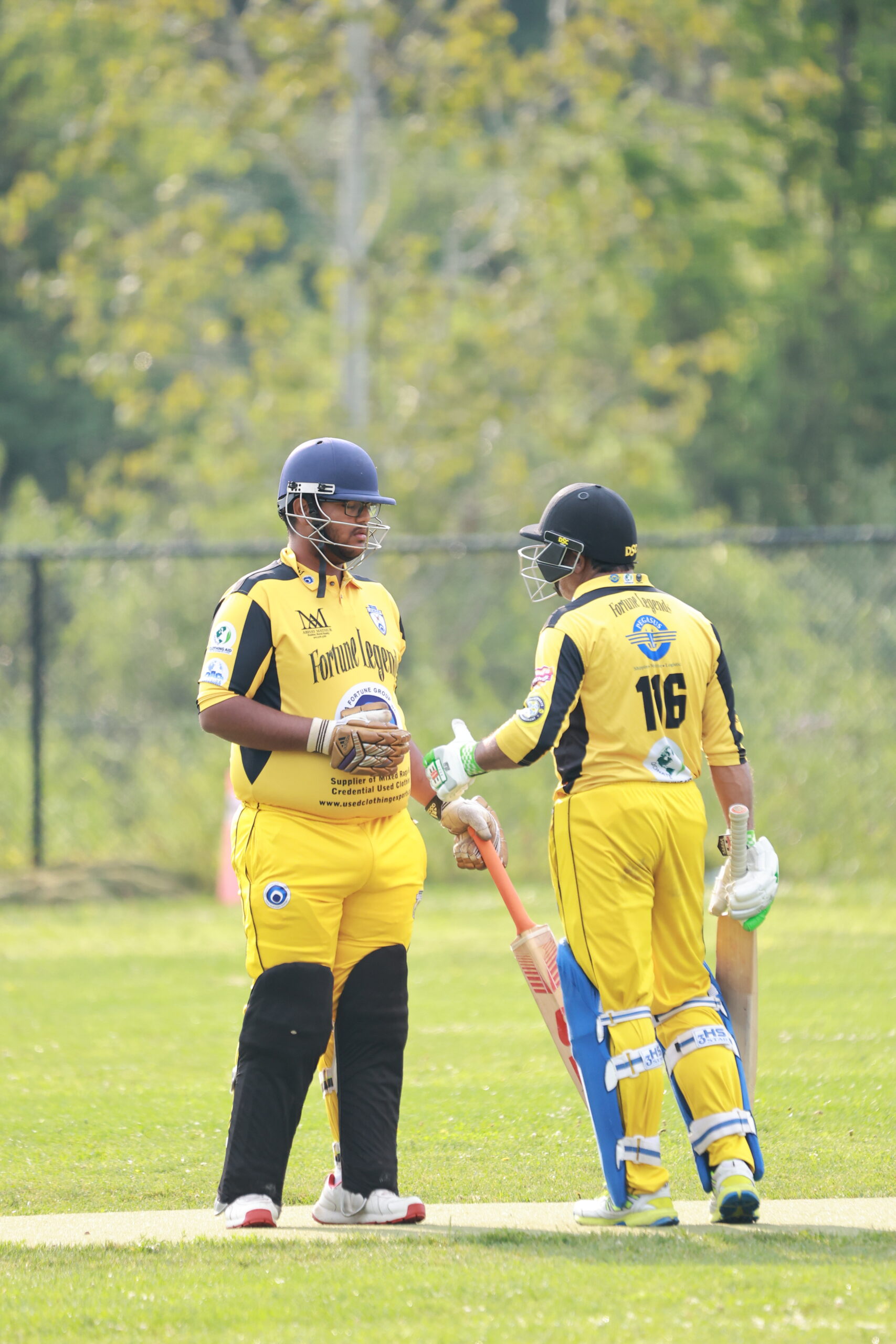 Two Fortune Legends batters meeting between deliveries